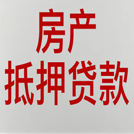 天元贷款公司新渝启服推荐选择